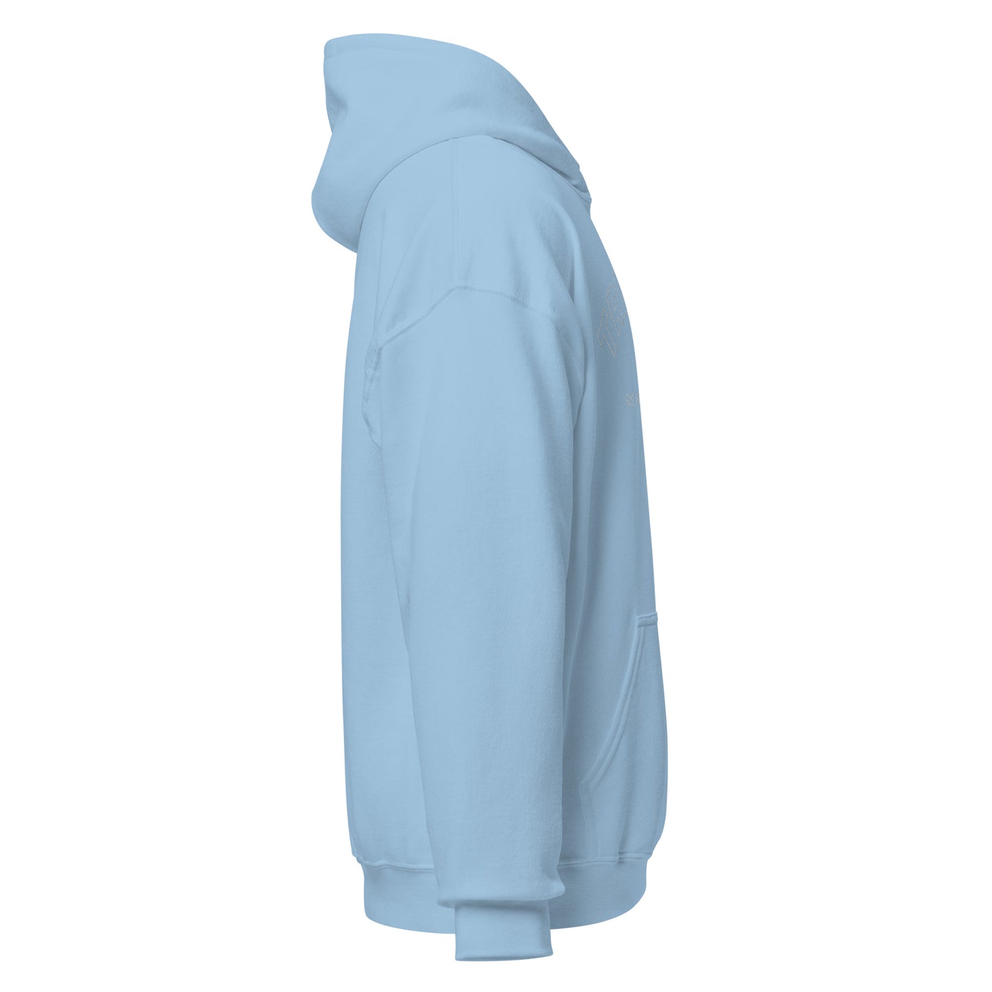 Big Rapids Unisex Hoodie (Embroidered)
