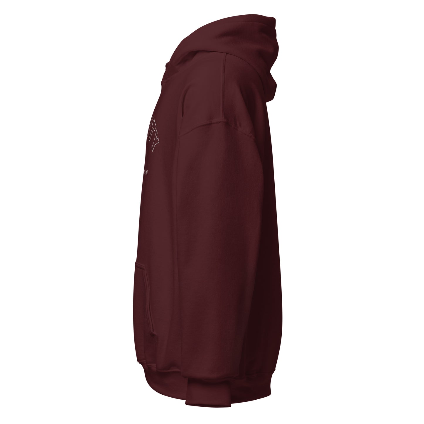 Big Rapids Unisex Hoodie (Embroidered)