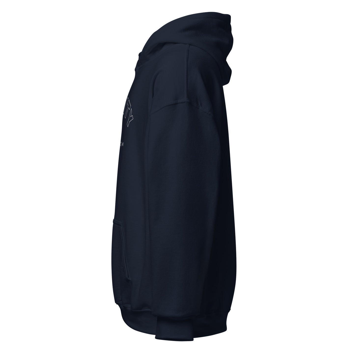 Big Rapids Unisex Hoodie (Embroidered)
