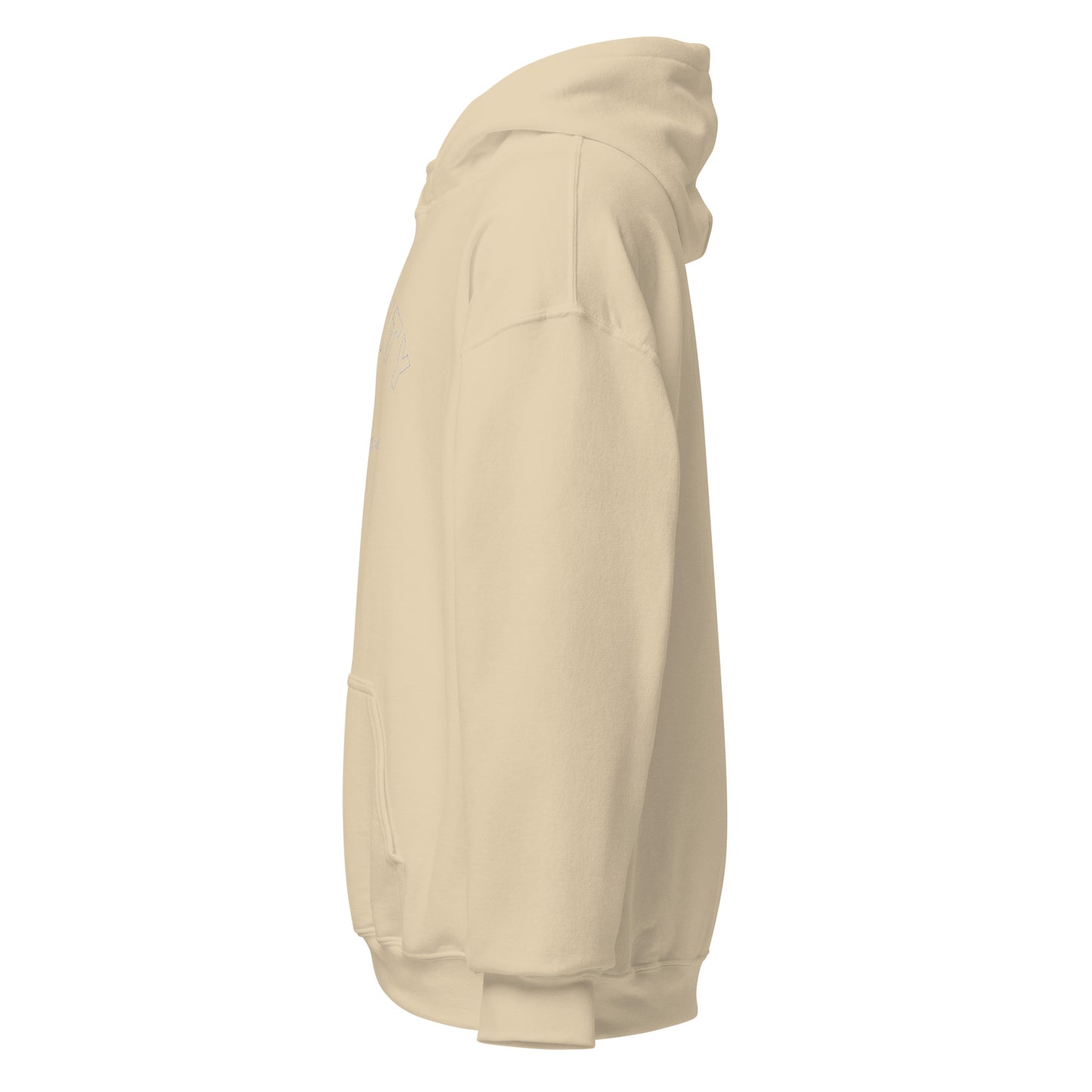 Big Rapids Unisex Hoodie (Embroidered)