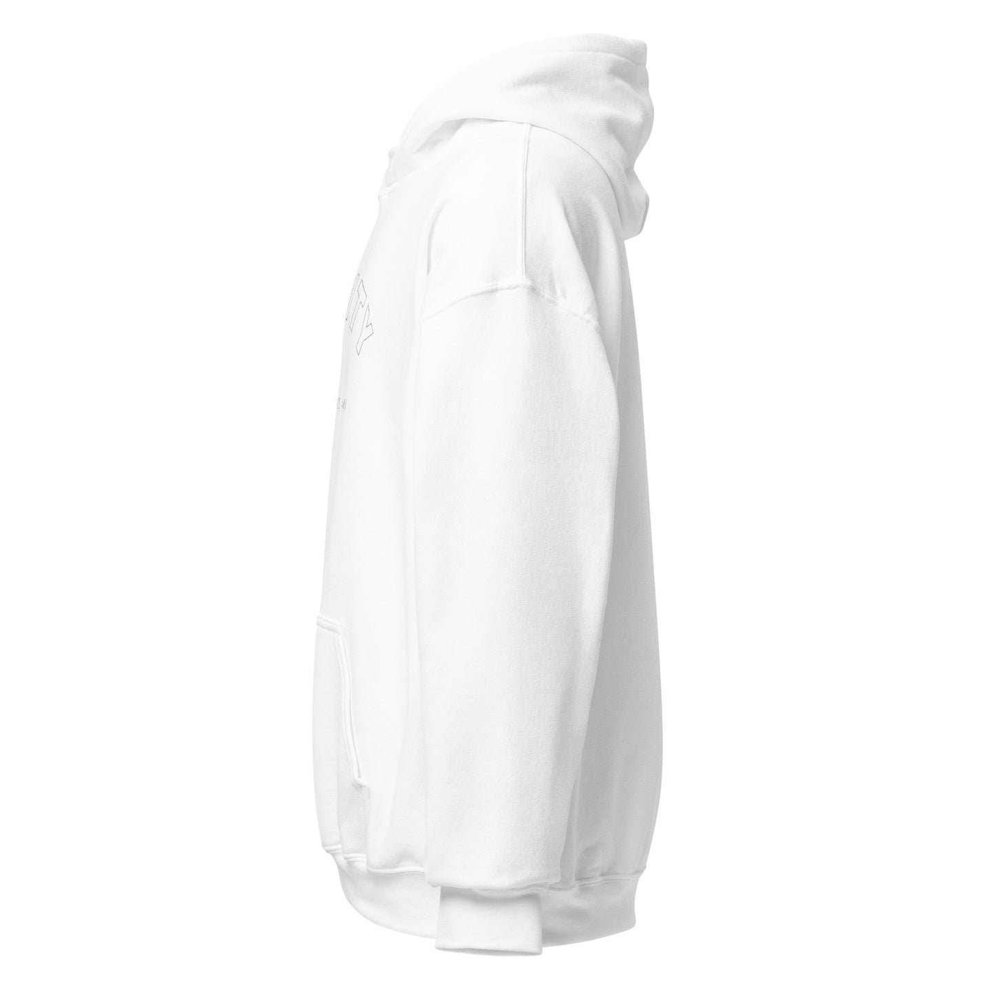 Big Rapids Unisex Hoodie (Embroidered)