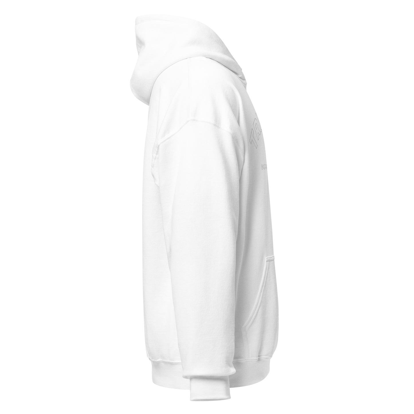Big Rapids Unisex Hoodie (Embroidered)